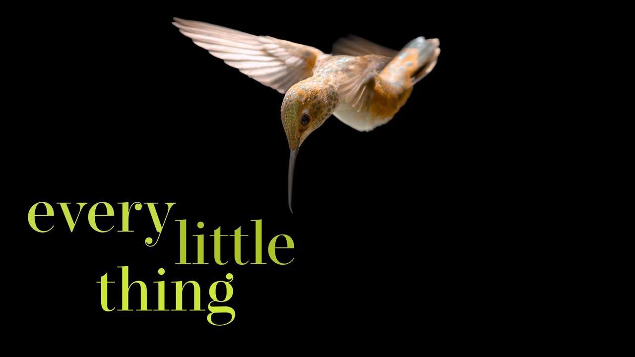 فيلم Every Little Thing 2024 مترجم